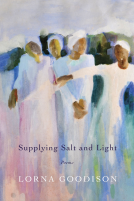 book cover for Supplying Salt and Light