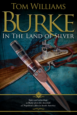 book cover for Burke in the Land of Silver