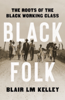 book cover for Black Folk