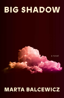 book cover for Big Shadow