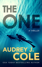 book cover for The One