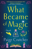 book cover for What Became of Magic