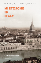 book cover for Nietzsche in Italy