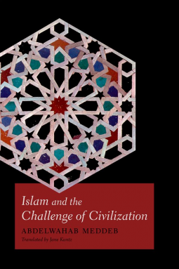 book cover for Islam and the Challenge of Civilization