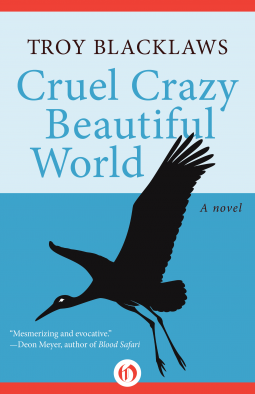 book cover for Cruel Crazy Beautiful World