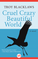 book cover for Cruel Crazy Beautiful World