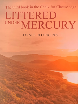 book cover for Littered under Mercury