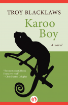 book cover for Karoo Boy