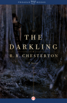 book cover for The Darkling