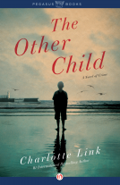 book cover for The Other Child