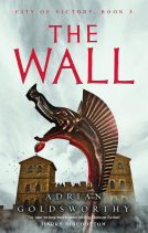 book cover for The Wall