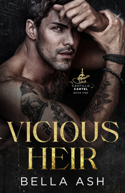 book cover for Vicious Heir