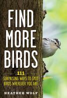 book cover for Find More Birds