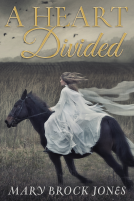 book cover for A Heart Divided