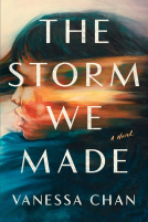 book cover for The Storm We Made