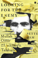 book cover for Looking for the Enemy