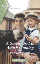 book cover for A Single Dad in Amish Country