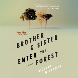 book cover for Brother & Sister Enter the Forest