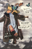 book cover for Loose in the Bright Fantastic