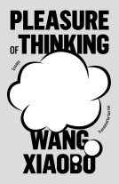 book cover for Pleasure of Thinking