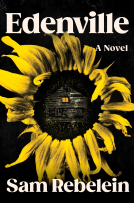 book cover for Edenville