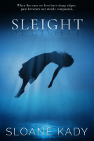 book cover for Sleight