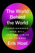 book cover for The World Behind the World