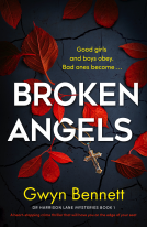 book cover for Broken Angels