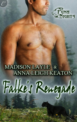 book cover for Falke's Renegade