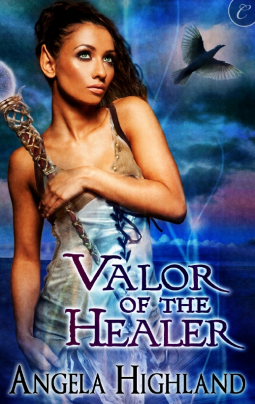 book cover for Valor of the Healer