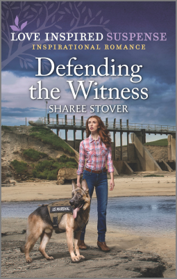 book cover for Defending the Witness