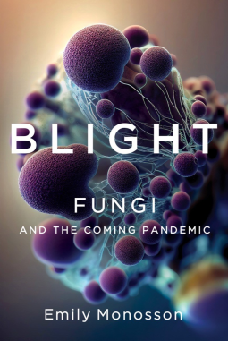 book cover for Blight