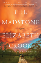 book cover for The Madstone