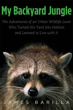 book cover for My Backyard Jungle
