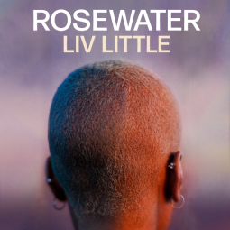 book cover for Rosewater