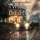 book cover for A Wealth of Deception