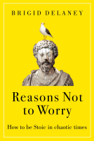 book cover for Reasons Not to Worry