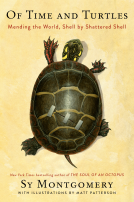 book cover for Of Time and Turtles