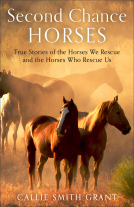 book cover for Second-Chance Horses