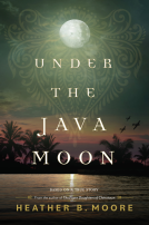 book cover for Under the Java Moon