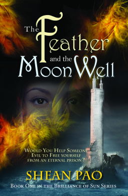 book cover for The Feather and the Moon Well