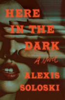 book cover for Here in the Dark
