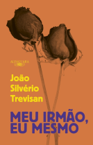 book cover for Meu irmão, eu mesmo