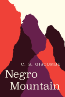 book cover for Negro Mountain