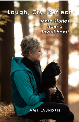 book cover for Laugh, Cry, Reflect: Stories from a Joyful Heart