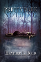 book cover for Pretty Dark Nothing