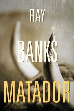 book cover for Matador