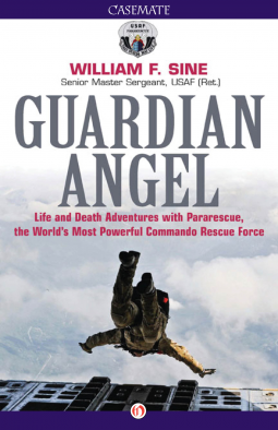 book cover for Guardian Angel