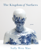 book cover for The Kingdom of Surfaces