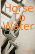book cover for Horse To Water